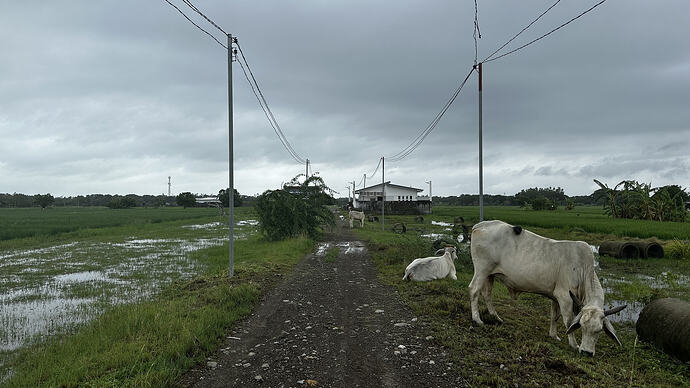 Stichweg zum Grundstück