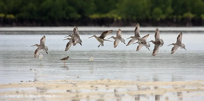 05-philippinen-forum-inseln-olango-islands-04