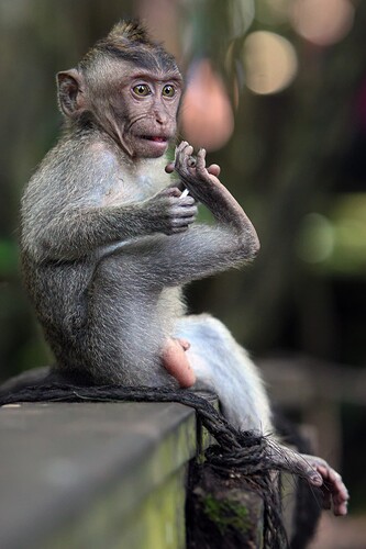 11_04_23BALI00540-Bearbeitet