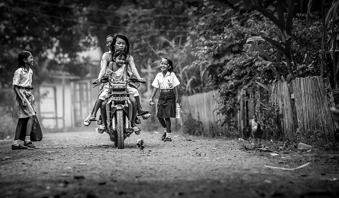 11_06_15Borneo0000176-Bearbeitet