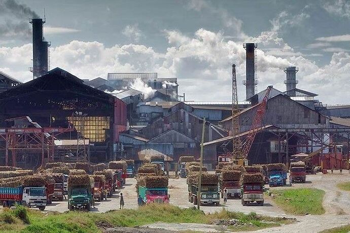 07-philippinen-forum-staedte-victorias-city-01