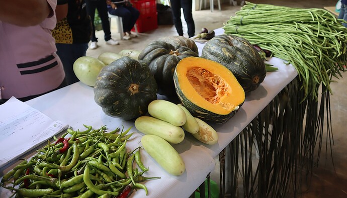 17-philippinen-forum-provinzen-siquijor-04