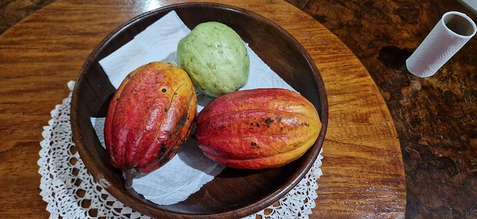 260213-Makato-Fruits-Cocoas-001