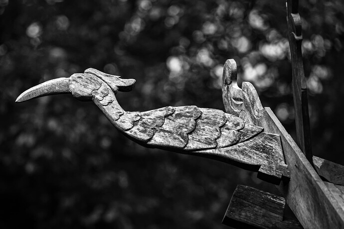 11_06_15Borneo0000239-Bearbeitet