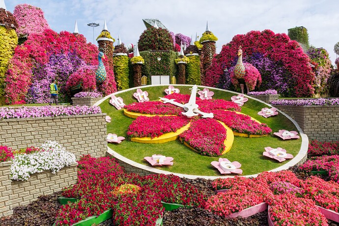 Miracle Garden 6