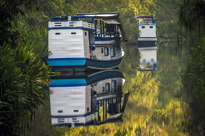 11_06_14Borneo000004-Bearbeitet