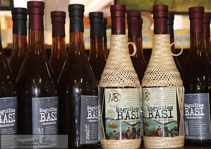 10-philippinen-forum-provinzen-la-union-06