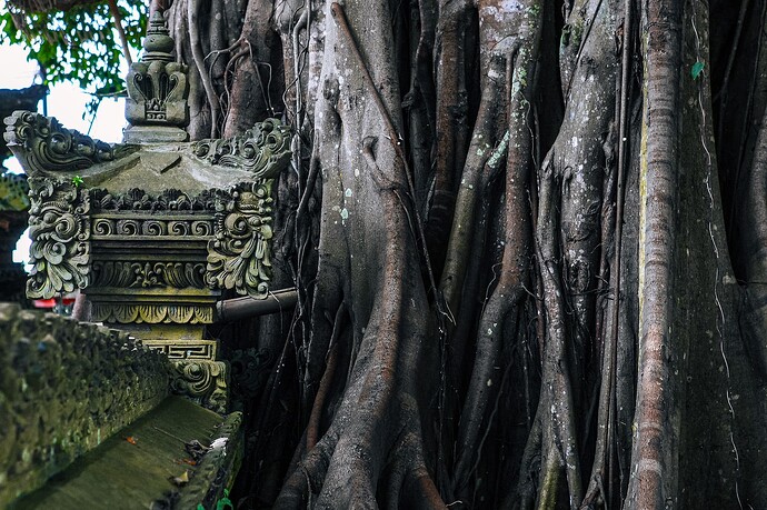 11_04_19Bali00001 064-Bearbeitet