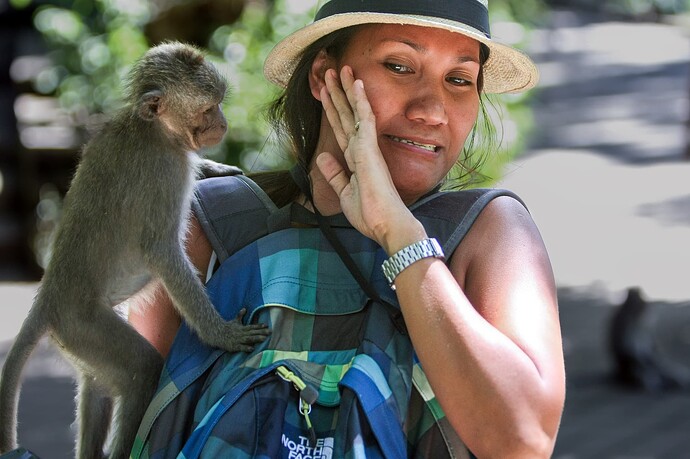 11_04_23BALI00512-Bearbeitet