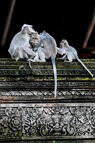 11_04_23BALI00529-Bearbeitet