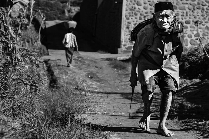 11_06_19Borneo000105-Bearbeitet