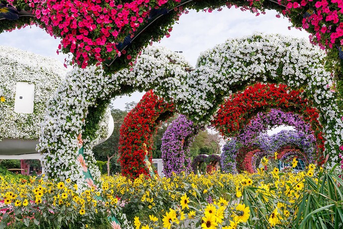 Miracle Garden 7