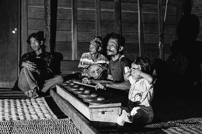 11_06_15Borneo0000587-Bearbeitet