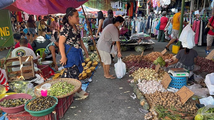 29-philippinen-forum-staedte-san-carlos-city-pangasinan-02