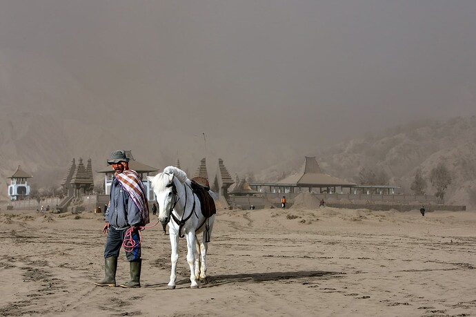 11_06_16Borneo0000484-Bearbeitet