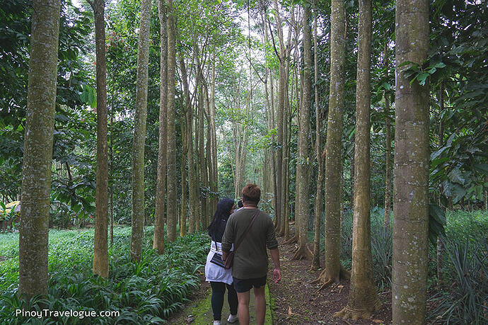 16-philippinen-forum-reiseberichte-kampojuan-03