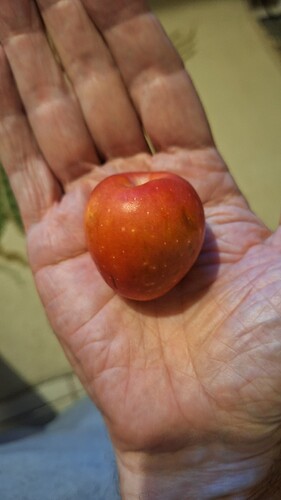 17707159462982251143137028515586