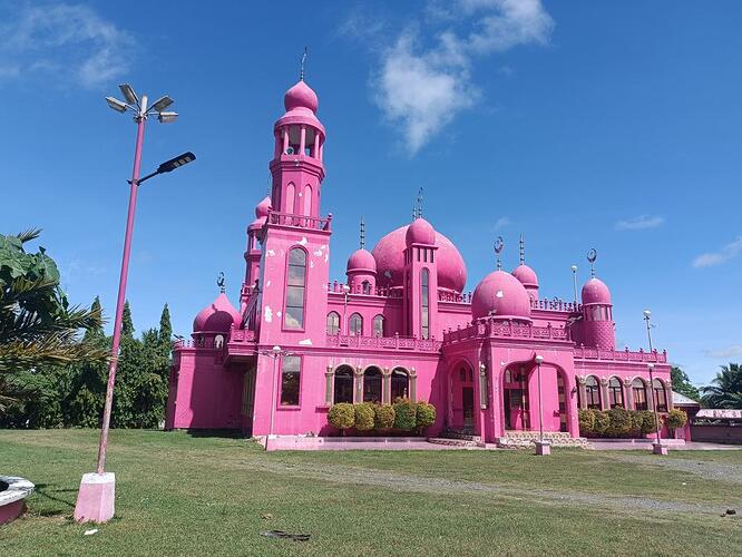 pink mosque (1)