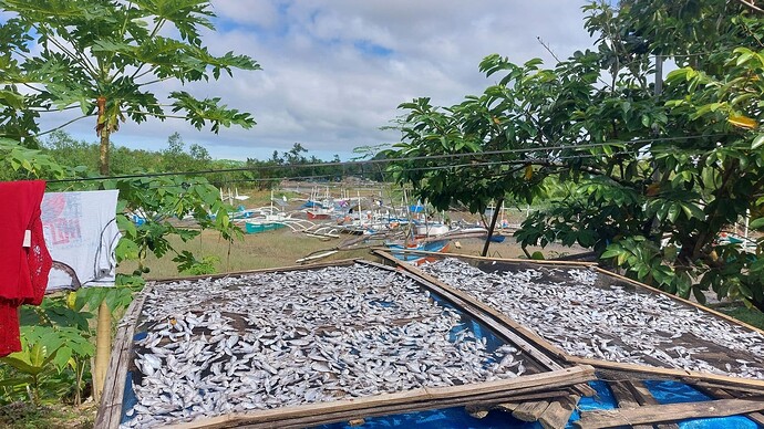 09-philippinen-forum-staedte-sipalay-city-04