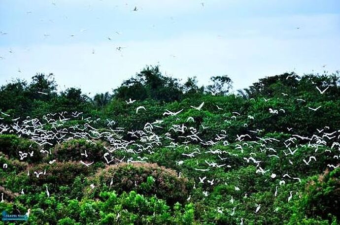 24-philippinen-forum-nationalparks-baras-bird-sancuary-01