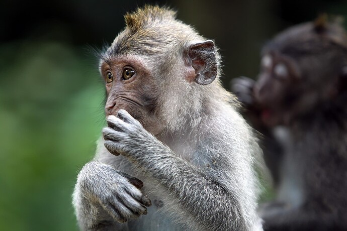 11_04_19Bali00001 114-Bearbeitet