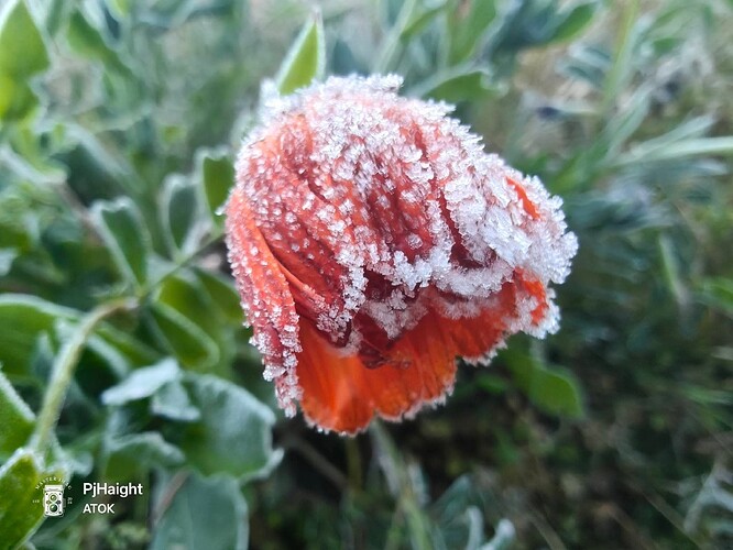 619606218_1426564892848822_2514022649409759719_n