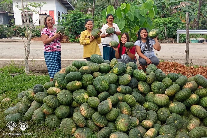 07-philippinen-forum-provinzen-zamboanga-del-sur-01