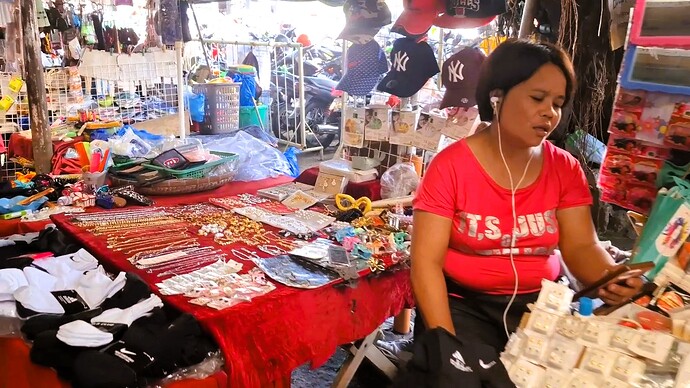25-philippinen-forum-wirtschaft-beweglicher-markt-09