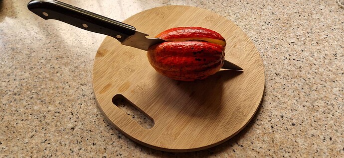 260213-Makato-Fruits-Cocoas-002