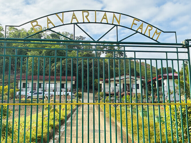 BE8D4342-4D88-44C8-96C1-B11FA26541A7_1_201_a