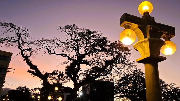 09-philippinen-forum-reiseberichte-dumaguete-rizal-boulevard-abend-12