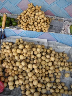 101010_lanzones_fruits_02