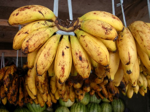 130316-makato-bananen-hannibalkalatunday-002