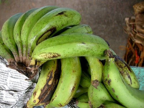 130316-makato-bananen-bunoean-001a