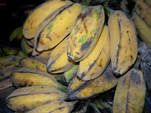 130316-makato-bananen-saba-006