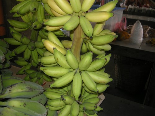 130316-makato-bananen-ladiesfingers-004